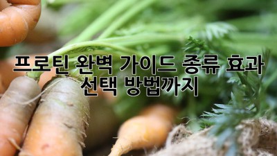 프로틴 완벽 가이드: 종류, 효과, 선택 방법까지